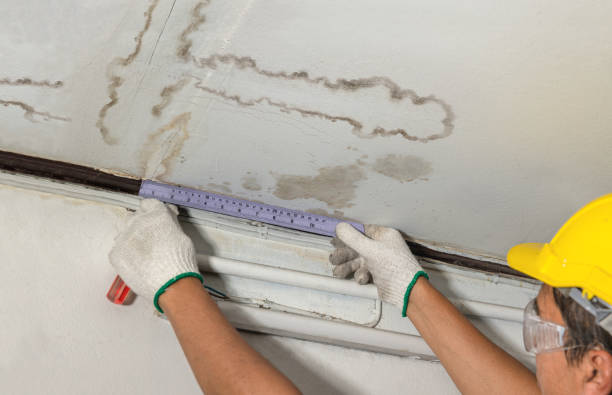 Reliable Burst Pipe Cleanup contractor in Purvis, MS by Water Damage Irwin
